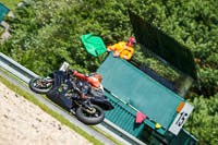 Brno;event-digital-images;motorbikes;no-limits;peter-wileman-photography;trackday;trackday-digital-images